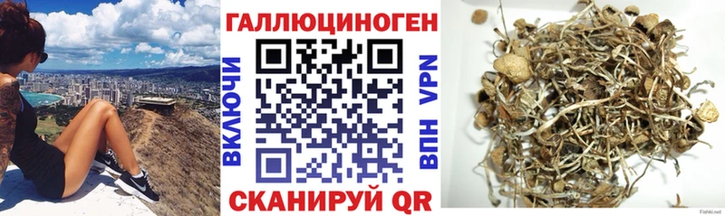 Галлюциногенные грибы Cubensis где можно купить Ухта