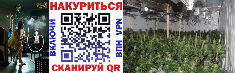 МАРИХУАНА гибрид Ухта